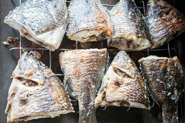 Baked tilapia directly from Volta Lake, Ghana, West Africa