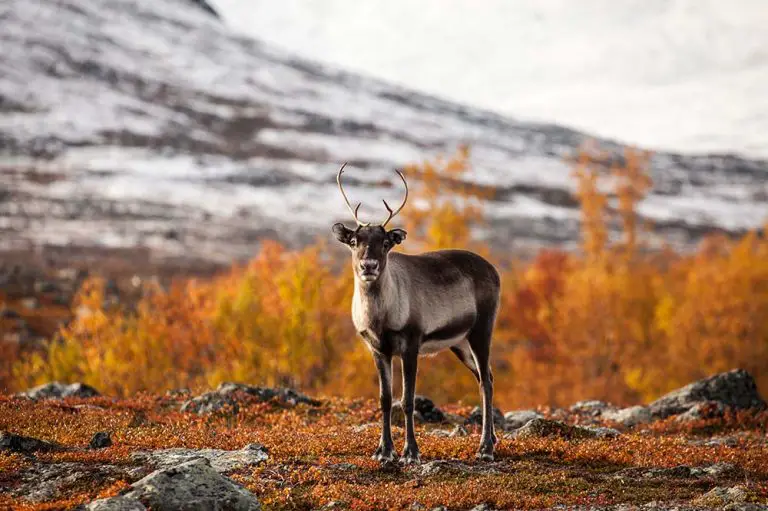 30 Greatest National Parks in the World - Textbook Travel